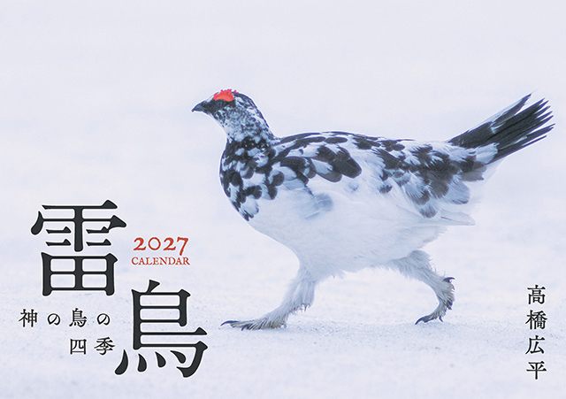 雷鳥 神の鳥の四季カレンダー2027（壁掛け）