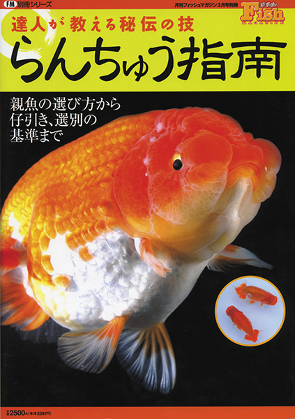 らんちゅう指南