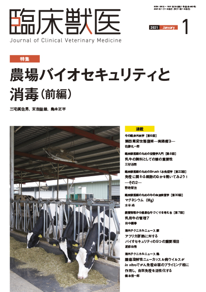臨床獣医　2021年1月号