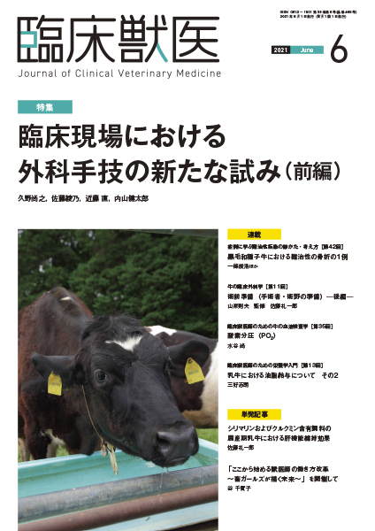 臨床獣医　2021年6月号