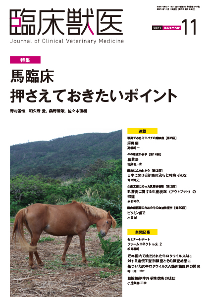 臨床獣医　2021年11月号