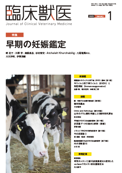 臨床獣医　2025年1月号