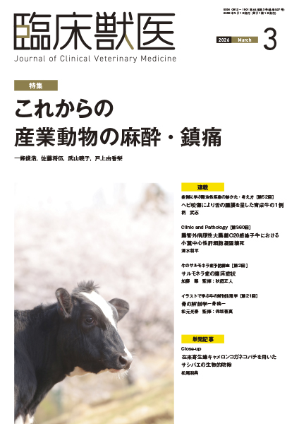 臨床獣医　2026年3月号