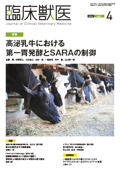 臨床獣医　2026年4月号