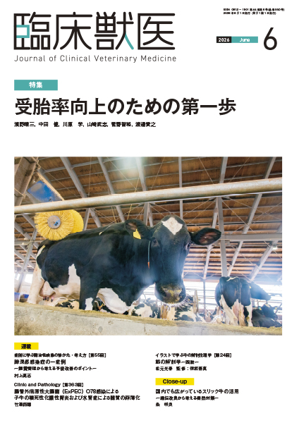 臨床獣医　2026年6月号