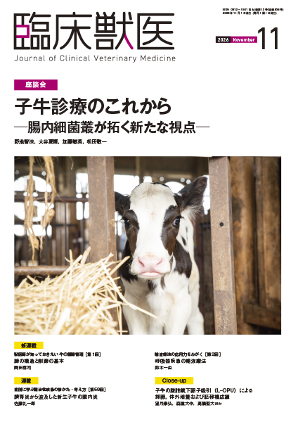 臨床獣医　2026年11月号