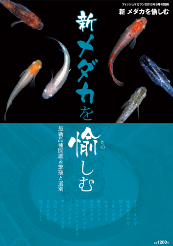 新メダカを愉しむ
