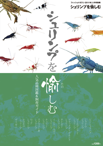 シュリンプを愉しむ