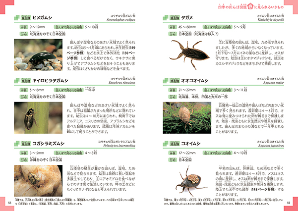 田んぼの生き物図鑑 新版 田んぼの生き物図鑑 | 内山 りゅう |本 | 通販 | Amazon