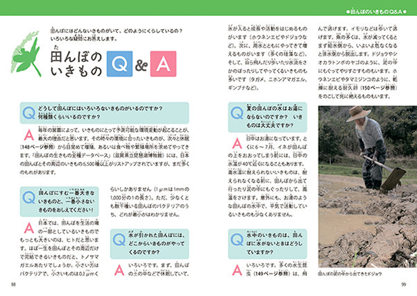 田んぼの生き物図鑑   増補改訂新版/山と渓谷社/内山りゅう（単行本（ソフトカバー）） 517+KQM-mtL._AC_SY200_QL15_.jpg