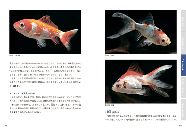 生き物係のための淡水魚飼育ガイド 株式会社 緑書房