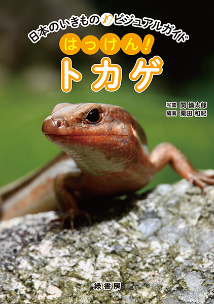 アジアのカナヘビ　爬虫類の本 魅せる日本の両生類・爬虫類 株式会社 緑書房