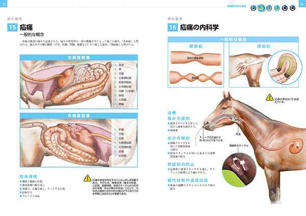 【あいうえお】馬の解剖図譜＋競走馬の病気と手術(JRA) あいうえお様専用】馬の解剖図譜＋競走馬の病気と手術(JRA)