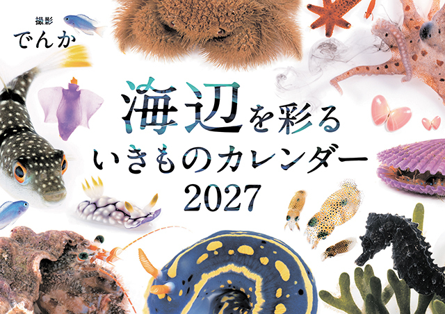 海辺を彩るいきものカレンダー2027（壁掛け）