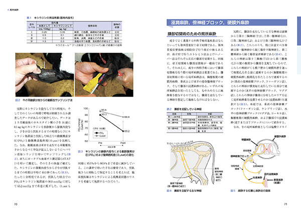 牛の臨床 3 最新〉主要症状を基礎にした牛の臨床3 ※前払専用商品