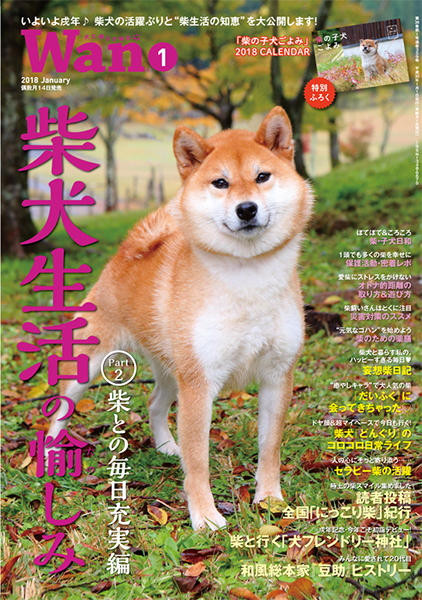 ⭐️セール⭐️柴犬と和柄モチーフ⭐️一閑張り⭐️ 柴犬ちゃんがたっぷり♪”おさんぽ日和”柴犬の和柄 パッチワーク