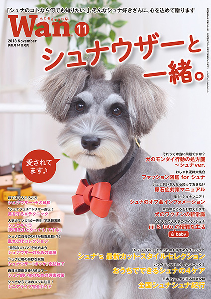 0歳からシニアまで シュナウザーとのしあわせな暮らし方 株式