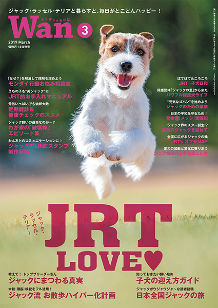 Wan 2019年3月号　2/14発売