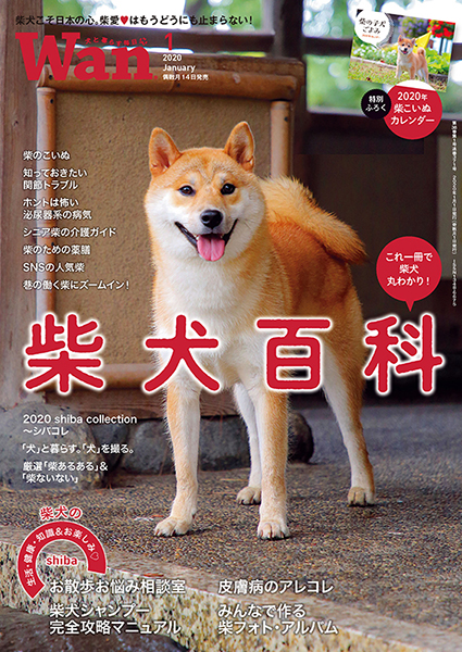 柴犬雑誌まとめ売り Wan 2024年 1月号＜冬＞(特集：スマイル with 柴！)[別冊付録