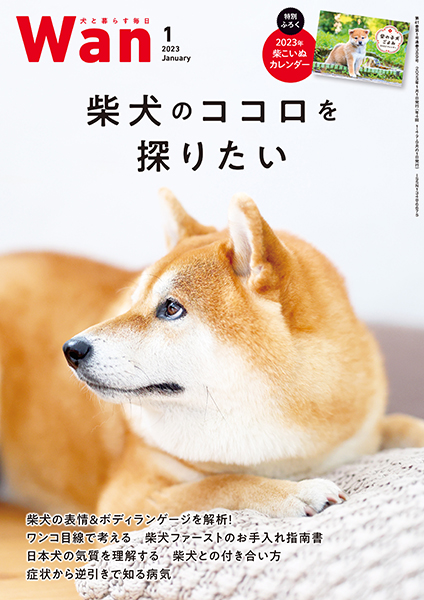 美品】動物看護専門誌 2021年1月（5月抜け）～2022年12