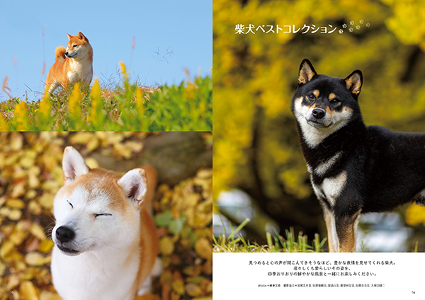 Wan 2026年1月号＜冬号＞ 12/12発売 株式会社 緑書房