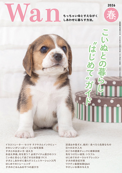 Wan 2026年4月号＜春号＞　3/13発売