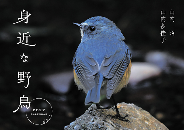 身近な野鳥カレンダー2027（壁掛け）