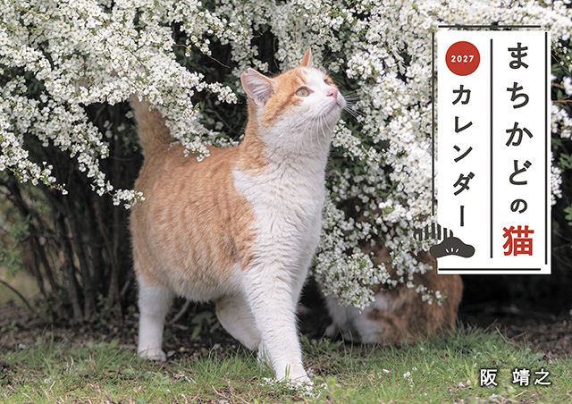 まちかどの猫カレンダー2027（壁掛け）