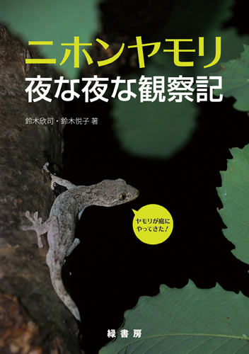 ニホンヤモリ夜な夜な観察記