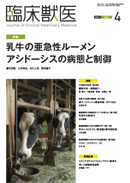 臨床獣医　2021年4月号
