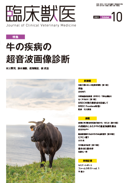 臨床獣医　2021年10月号