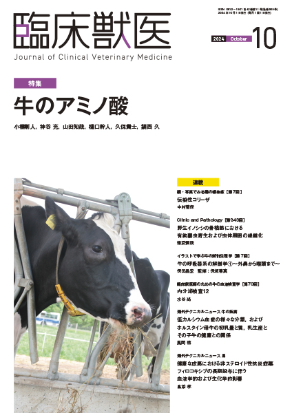 臨床獣医　2024年10月号