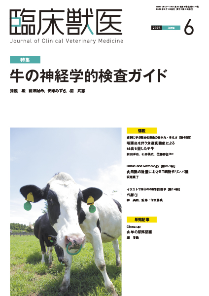 2025年版 獣医学部 赤本 6冊セット 614xcDVnQ4L._UF350,350_QL50_.jpg