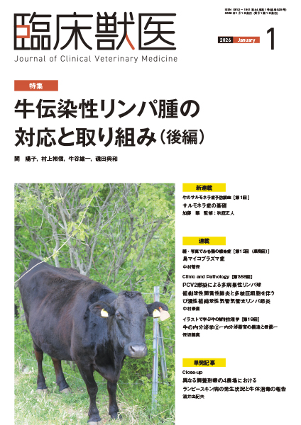 臨床獣医　2026年1月号