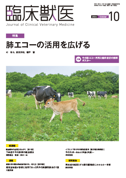臨床獣医　2026年10月号