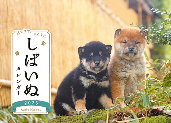 しばいぬカレンダー23 卓上 株式会社 緑書房