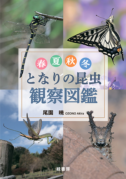 春夏秋冬 となりの昆虫観察図鑑