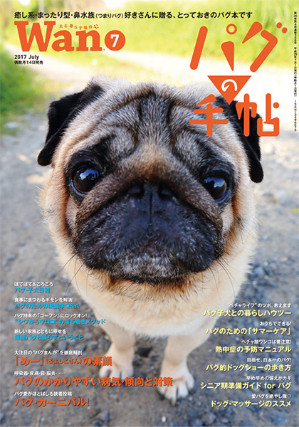 Wan 2017年7月号　6/14発売