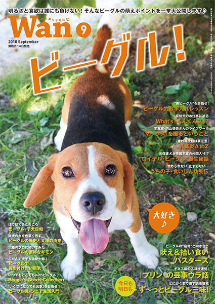 Wan 2018年9月号　8/16発売