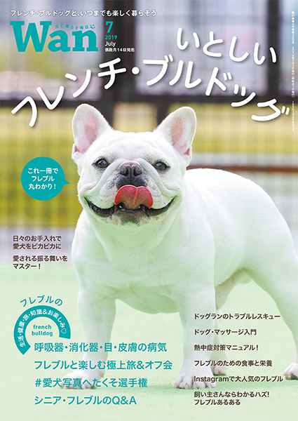 Wan 2019年7月号　6/14発売