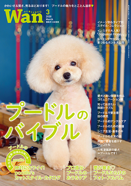 Wan 2020年3月号　2/14発売