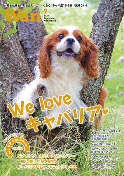Wan 2020年9月号　8/12発売