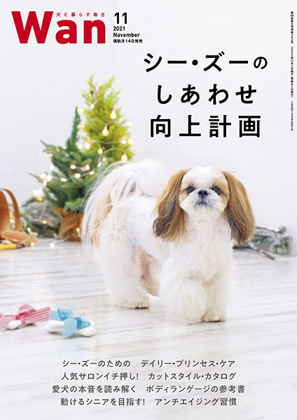 Wan 2021年11月号　10/14発売