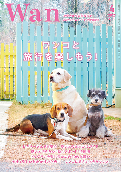 Wan 2023年4月号　3/14発売