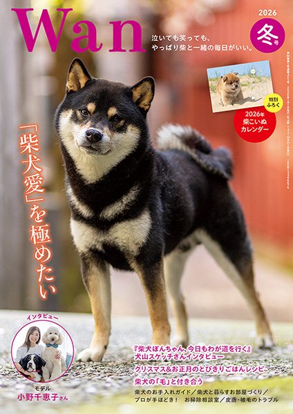 オーダー受付　姫系　柴犬　ご予約ページ　11/26 里親募集 大事に飼って頂ければ良く馴れると思います - 柴犬メス(s784