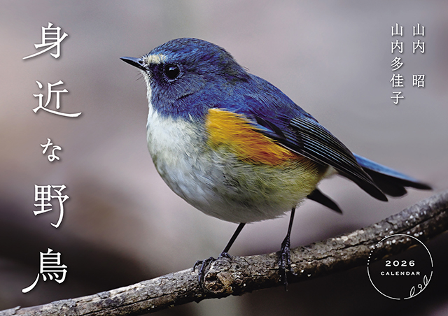 週刊　野鳥の世界　全121号セット【専用バインダー付き】 週刊 野鳥の世界 全121号セット【専用バインダー付き】-通販オンライン