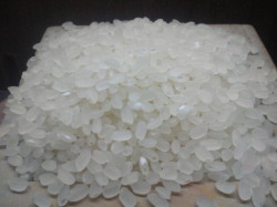 【送料弊社負担】令和６年(2024年)産 福島県 天のつぶ　希少品種 白米５kg｜５キロ精米