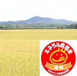 ミネラル栽培 コシヒカリ