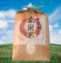 令和７年 福島県中通産　にじのきらめき　希少品種 ５kg｜５キロ