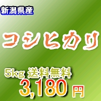 新潟県産コシヒカリ